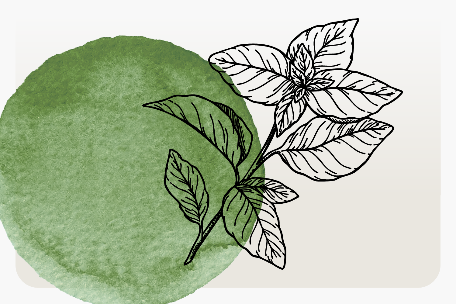 Phytothérapie - Les Jardins des Thés Phytothérapie - Les Jardins des Thés