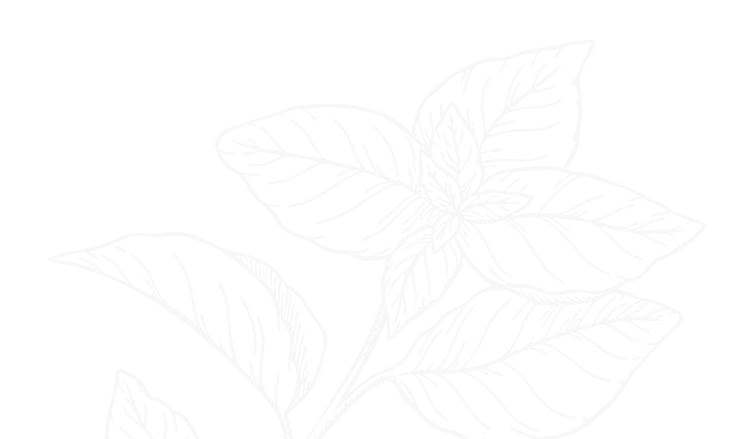 Phytothérapie - Les Jardins des Thés Phytothérapie - Les Jardins des Thés